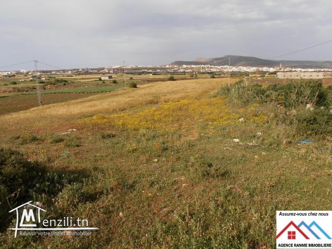 Terrain agricole de 16800m2 orienté par la mer