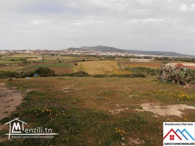 Terrain agricole de 16800m2 orienté par la mer