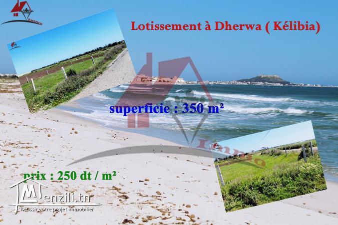 lotissement à Dherwa ( Kélibia)