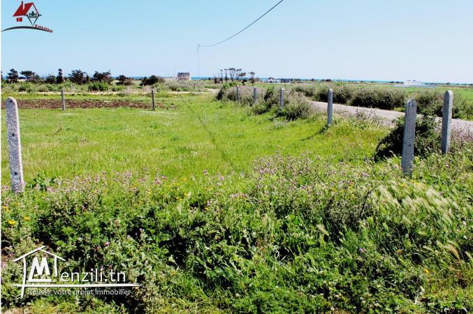 lotissement à Dherwa ( Kélibia)