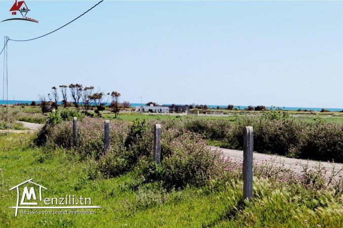 lotissement à Dherwa ( Kélibia)