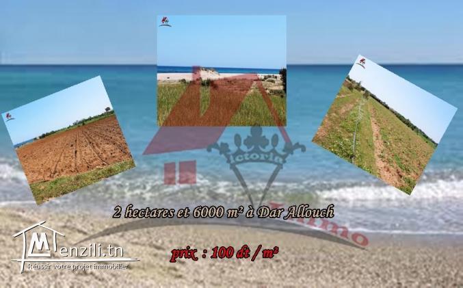 2 hectares et 6000 m²