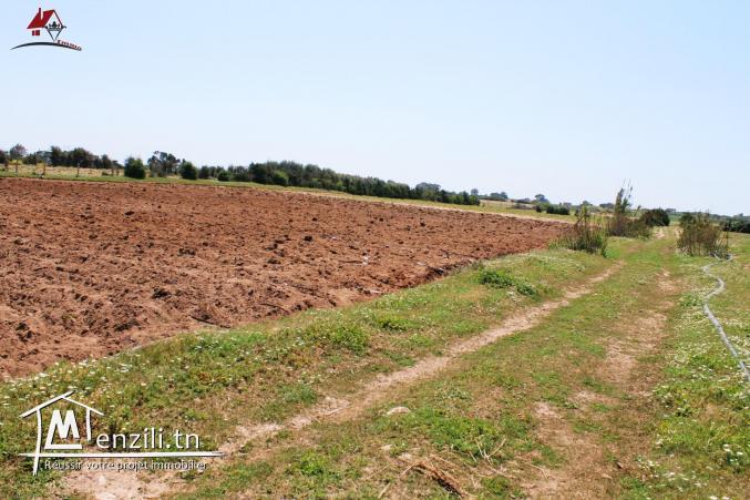 2 hectares et 6000 m²