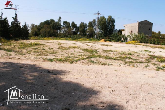 offre spéciale 2300 m² à Kélibia