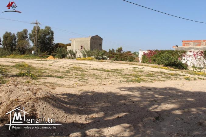 offre spéciale 2300 m² à Kélibia