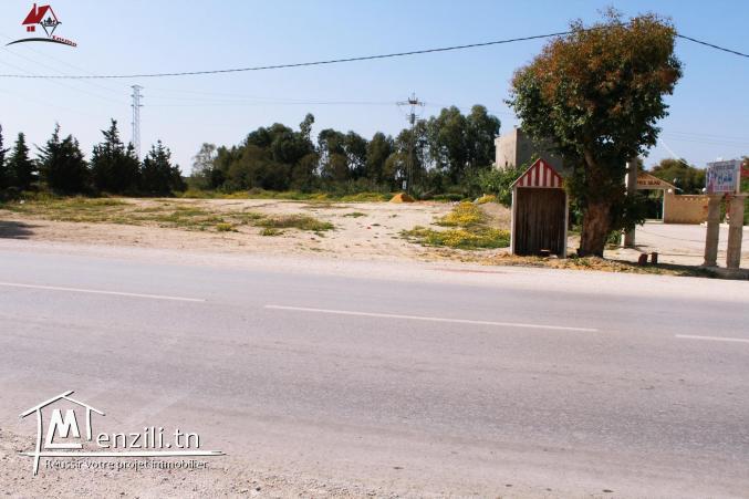 offre spéciale 2300 m² à Kélibia