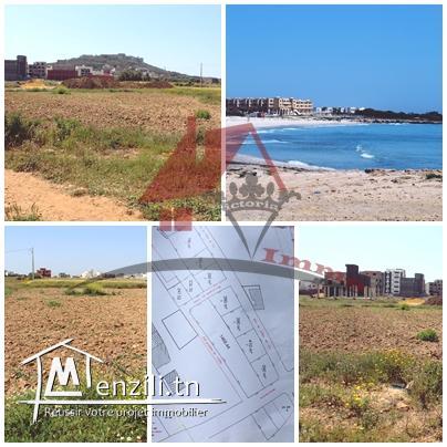 3 lots de terrain à Kélibia -Mansoura 2
