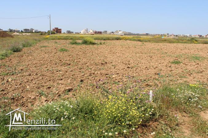 3 lots de terrain à Kélibia -Mansoura 2