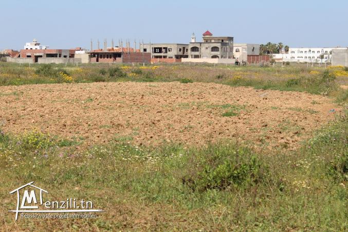 3 lots de terrain à Kélibia -Mansoura 2