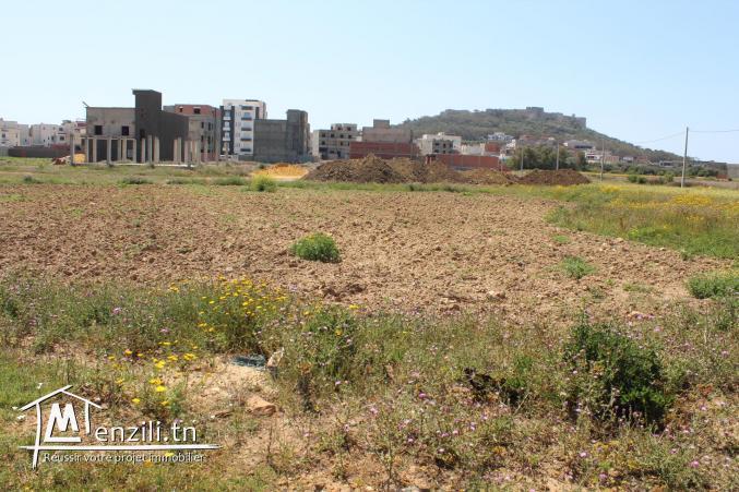 3 lots de terrain à Kélibia -Mansoura 2