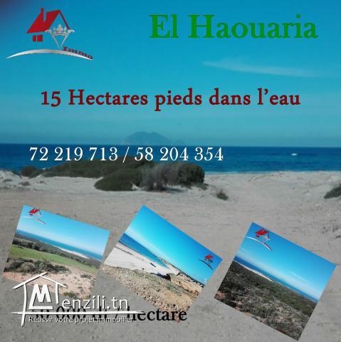 15 hectares pieds dans l'eau à El Haouaria