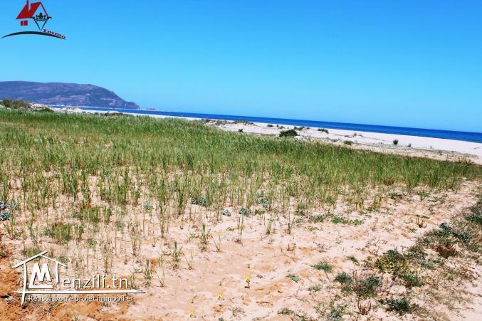 terrain de 500 m² à Chraf El Haouaria à vendre