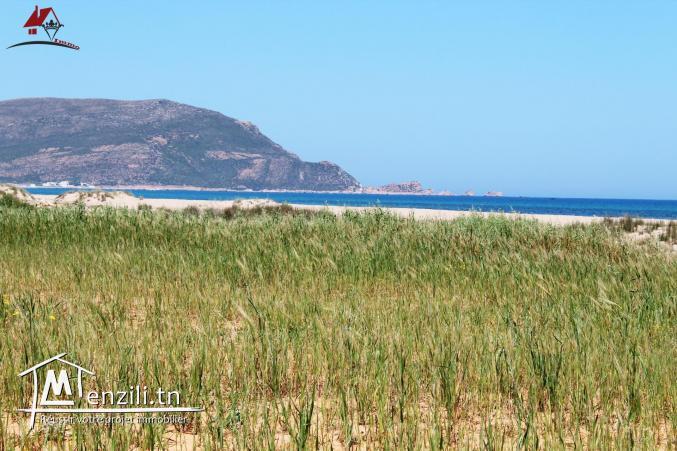 terrain de 500 m² à Chraf El Haouaria à vendre