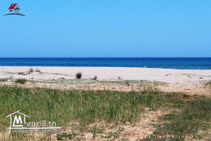 terrain de 500 m² à Chraf El Haouaria à vendre