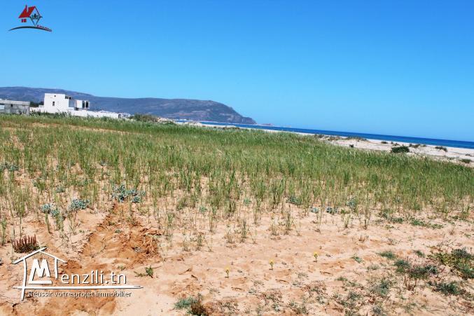 terrain de 500 m² à Chraf El Haouaria à vendre