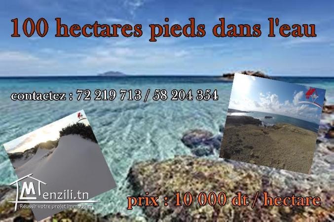 100 hectares pieds dans l'eau à El Haouaria