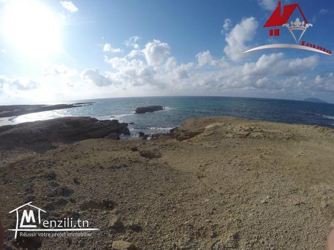 100 hectares pieds dans l'eau à El Haouaria