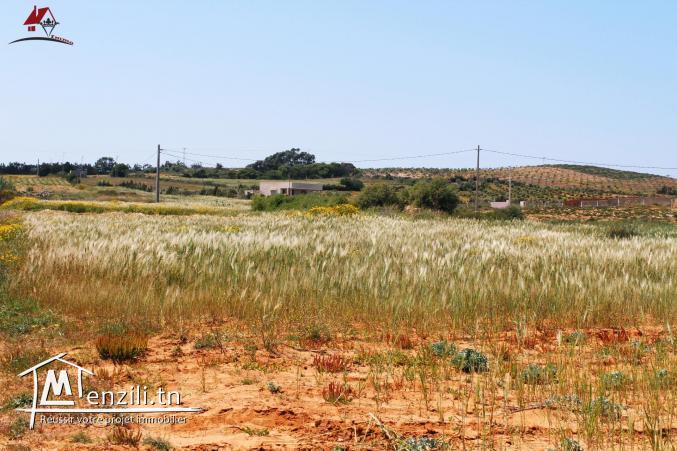 700 m² à Chraf El Haouaria à vendre