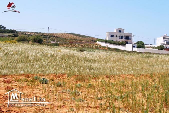 700 m² à Chraf El Haouaria à vendre