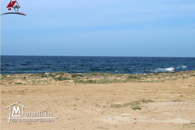 une luxueuse villa à El Argoub (El Haouaria)