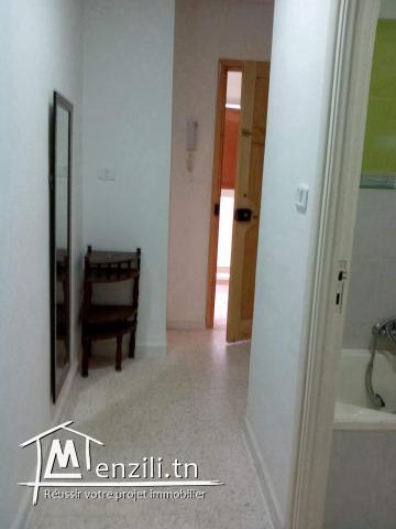 apparemment meublé 40m2 شقة مؤثثة جديدة للطلبة او عملة