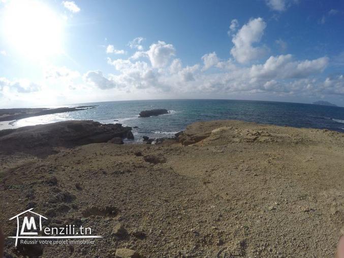  un terrain de 100 hectares