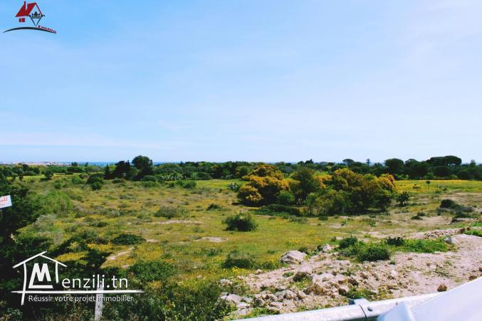 un terrain à hammem El Ghzéz