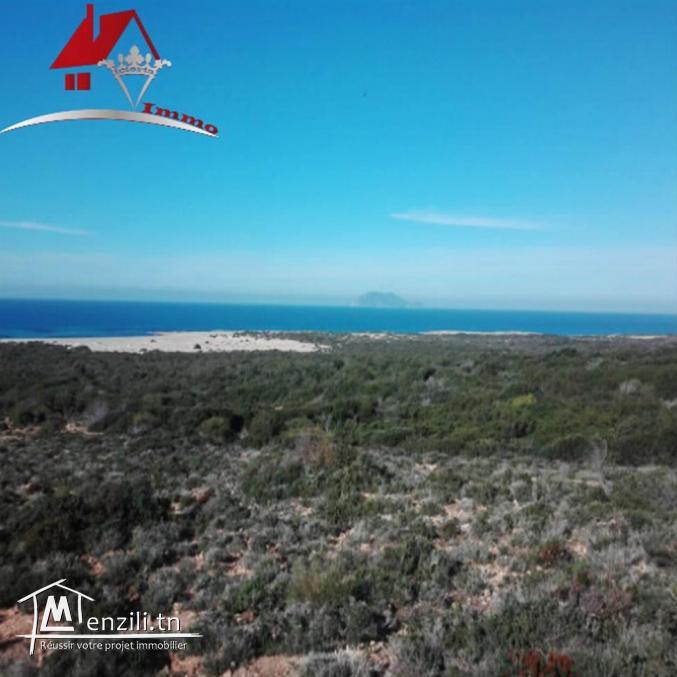 15 hectares pieds dans l'eau