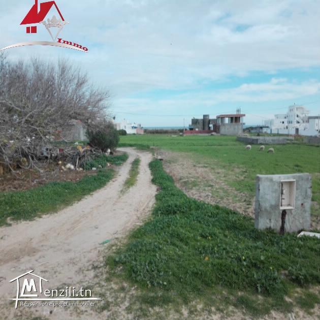 un lotissement de 8 lots à Dar Allouch à ne pas rater