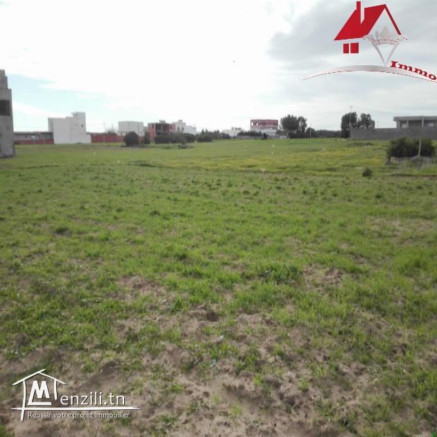 un lotissement de 8 lots à Dar Allouch à ne pas rater