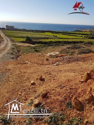 un lotissement à El haouaria