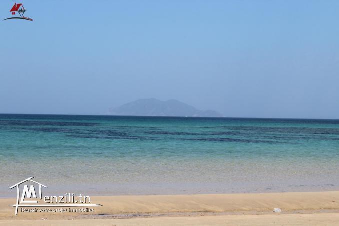 52 hectares pieds dans l'eau