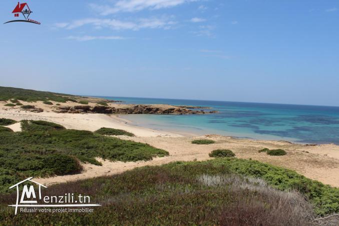 52 hectares pieds dans l'eau