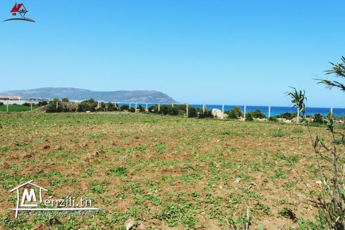 un terrain pieds dans l'eau à El haouaria