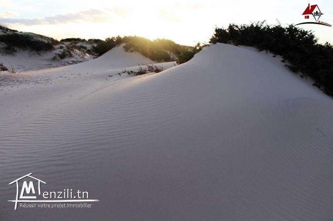 100 hectares pieds dans l'eau