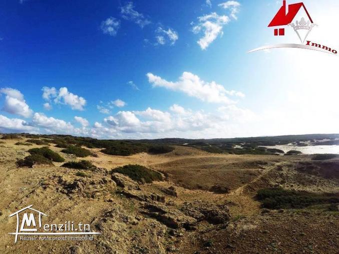 100 hectares pieds dans l'eau