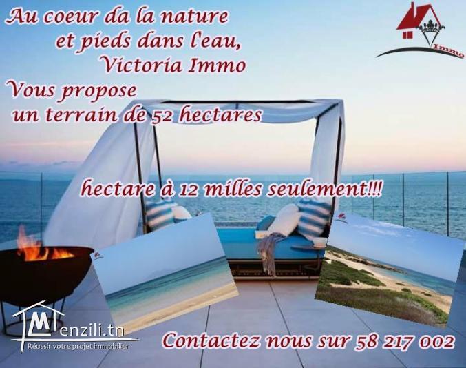 52 hectares pieds dans l'eau