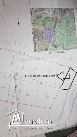 opportunité du valeur à ne pas raté ! allez dépêchez-vous 2184m² avec 1000 m² +
