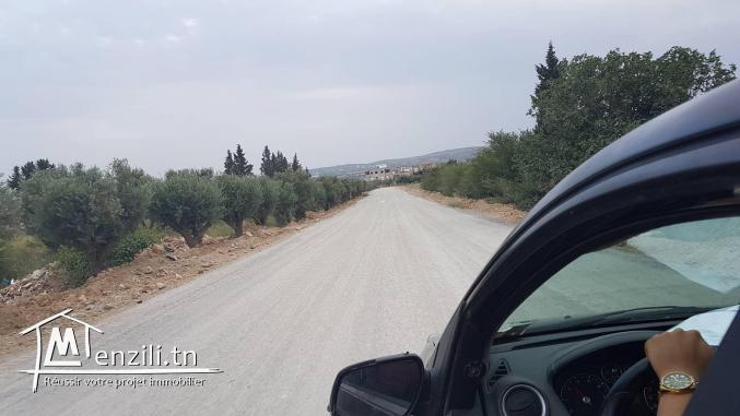 opportunité du valeur à ne pas raté ! allez dépêchez-vous 2184m² avec 1000 m² +