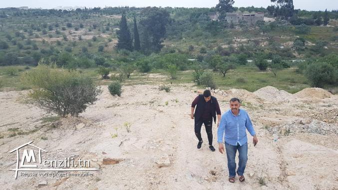 opportunité du valeur à ne pas raté ! allez dépêchez-vous 2184m² avec 1000 m² +