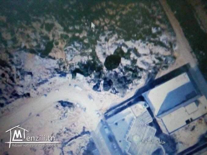 terrain nu  la marsa