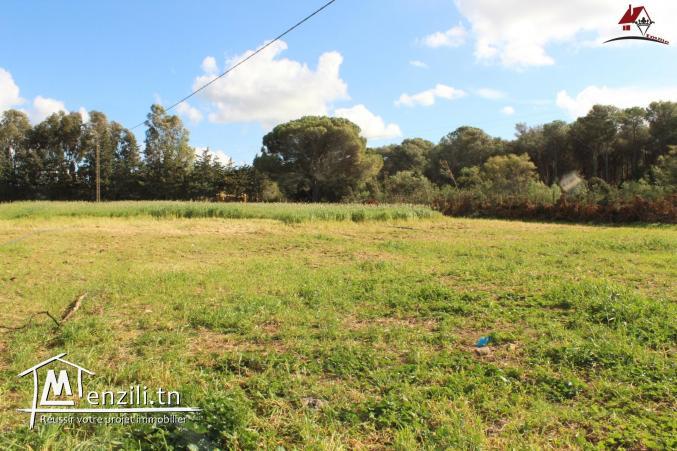 ferme productive à Dar Allouch à ne pas rater