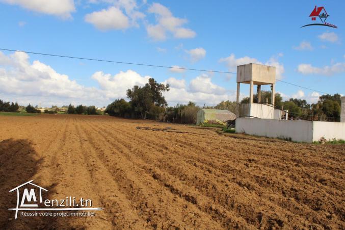 ferme productive à Dar Allouch à ne pas rater