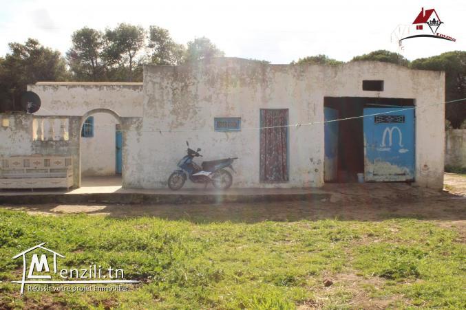 ferme productive à Dar Allouch à ne pas rater
