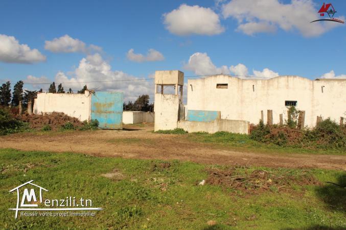 une ferme à Dar Allouch