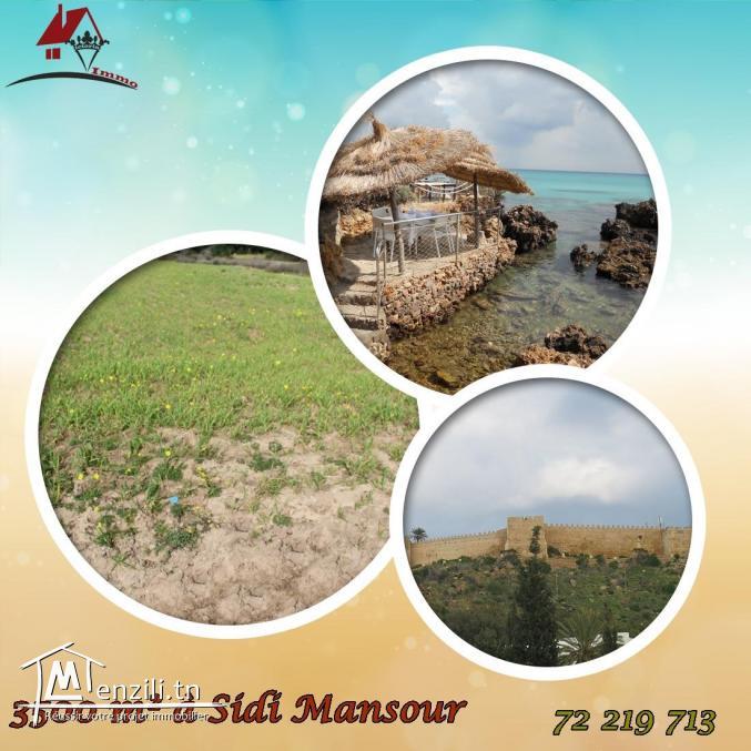 un terrain à Kélibia de 3500 m²