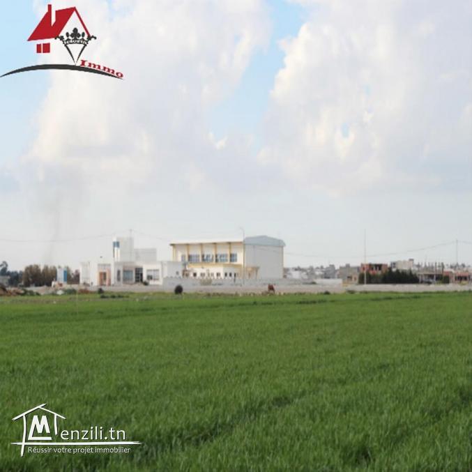 un terrain de 1650 m² à Kélibia