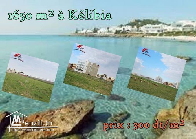 un terrain de 1650 m² à Kélibia