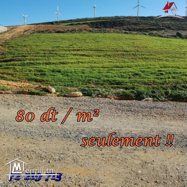 مقاسم في برج الصالحي-الهوارية