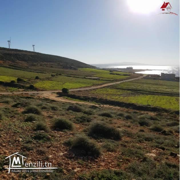 مقاسم في برج الصالحي-الهوارية